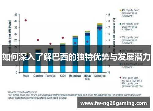 如何深入了解巴西的独特优势与发展潜力