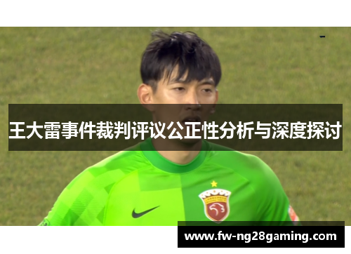 王大雷事件裁判评议公正性分析与深度探讨