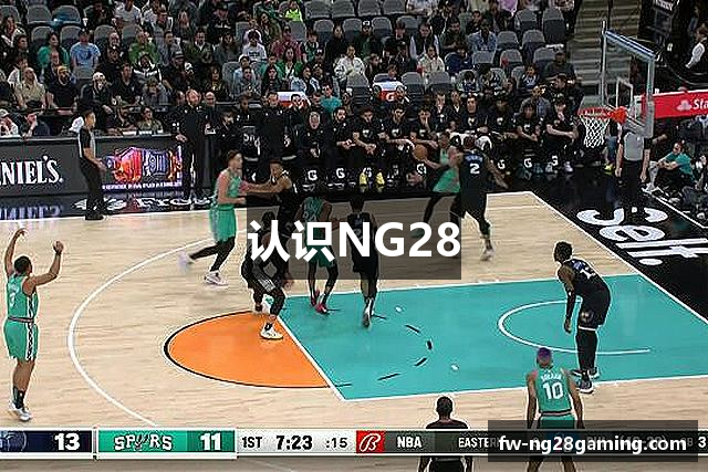 认识NG28